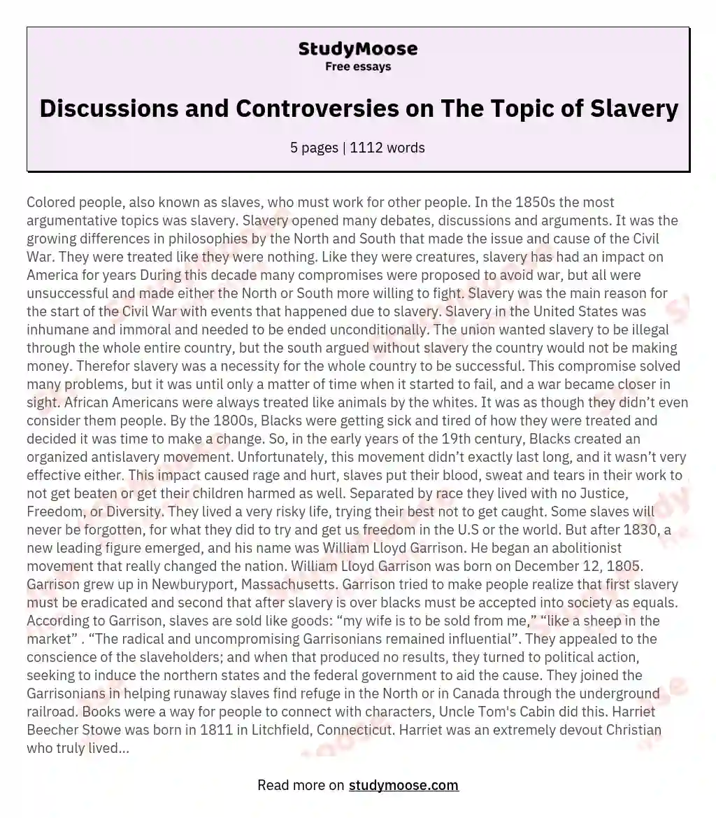 Discussions and Controversies on The Topic of Slavery essay