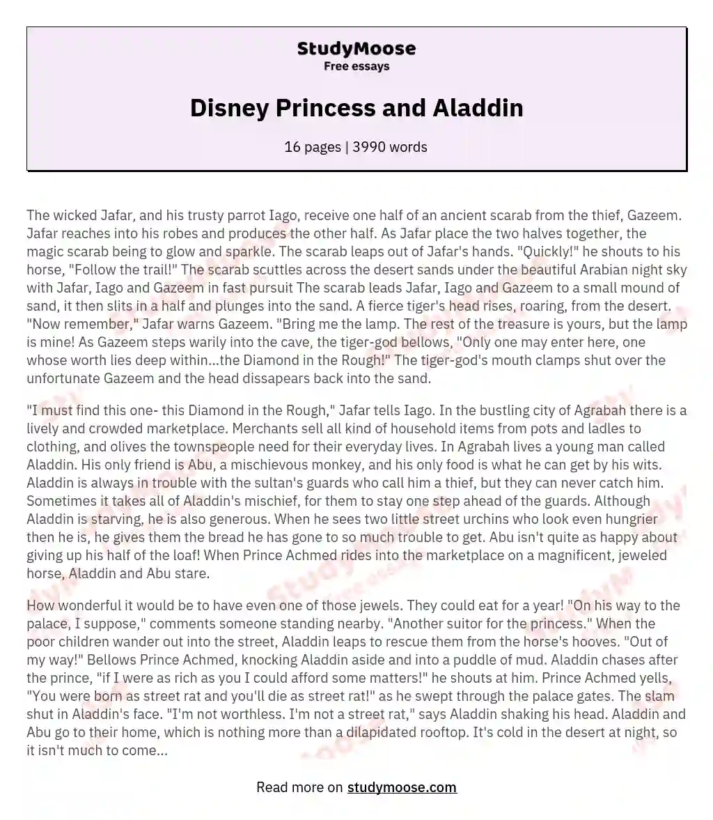 Disney Princess and Aladdin essay