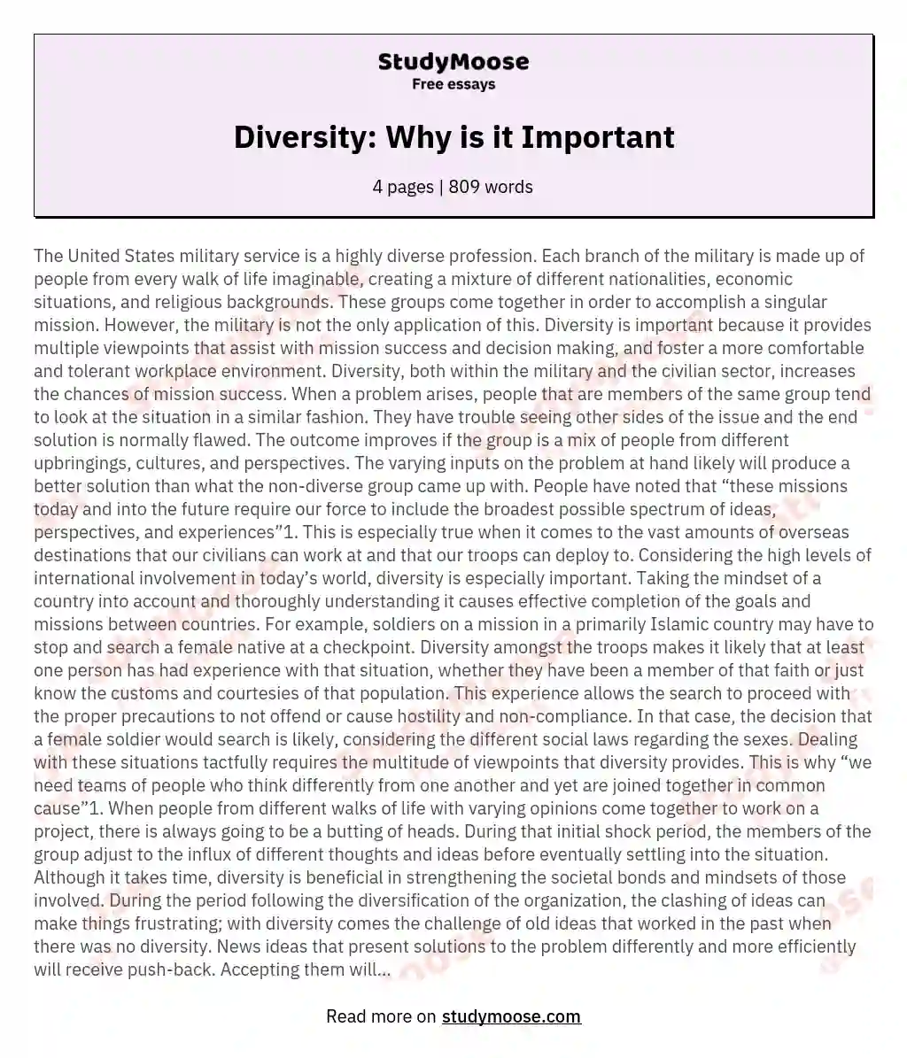 Diversity: Why is it Important essay
