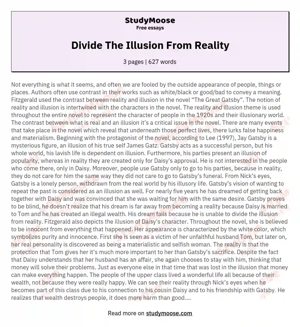 Divide The Illusion From Reality essay