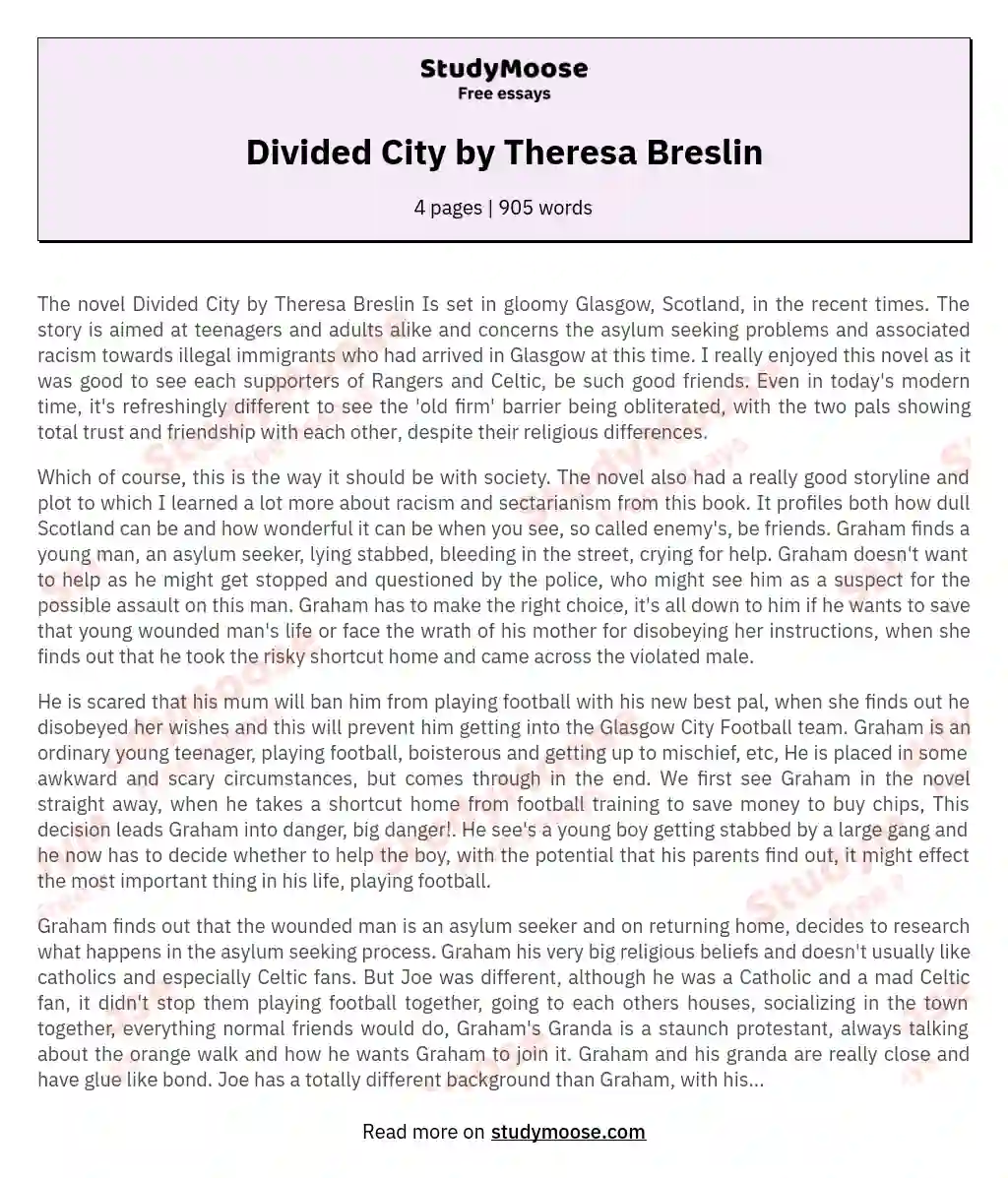Divided City by Theresa Breslin essay