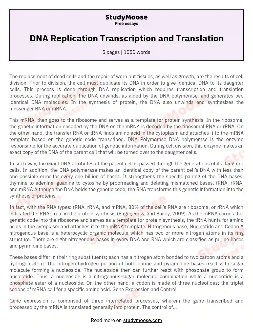 DNA Replication Transcription and Translation essay