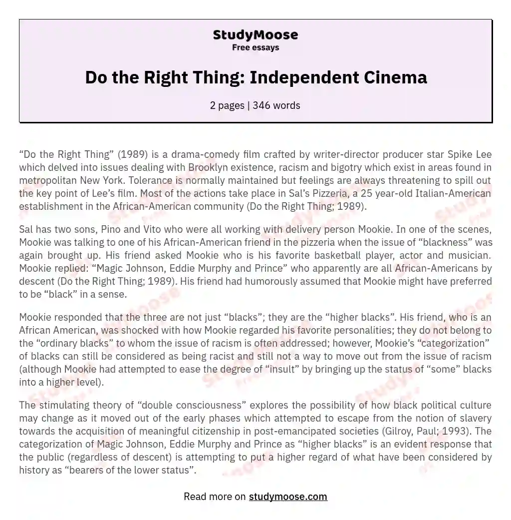 Do the Right Thing: Independent Cinema essay