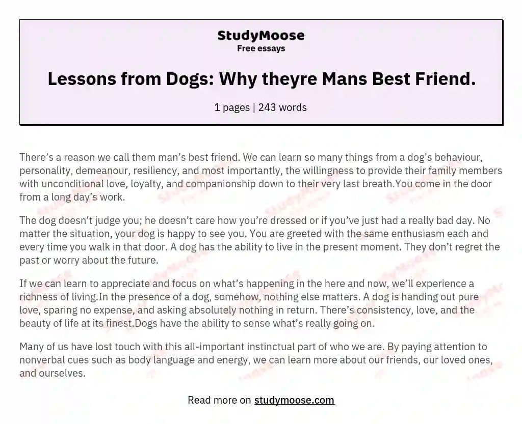 Lessons from Dogs: Why theyre Mans Best Friend. essay