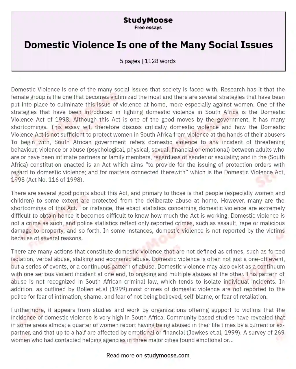 Domestic Violence Is one of the Many Social Issues essay