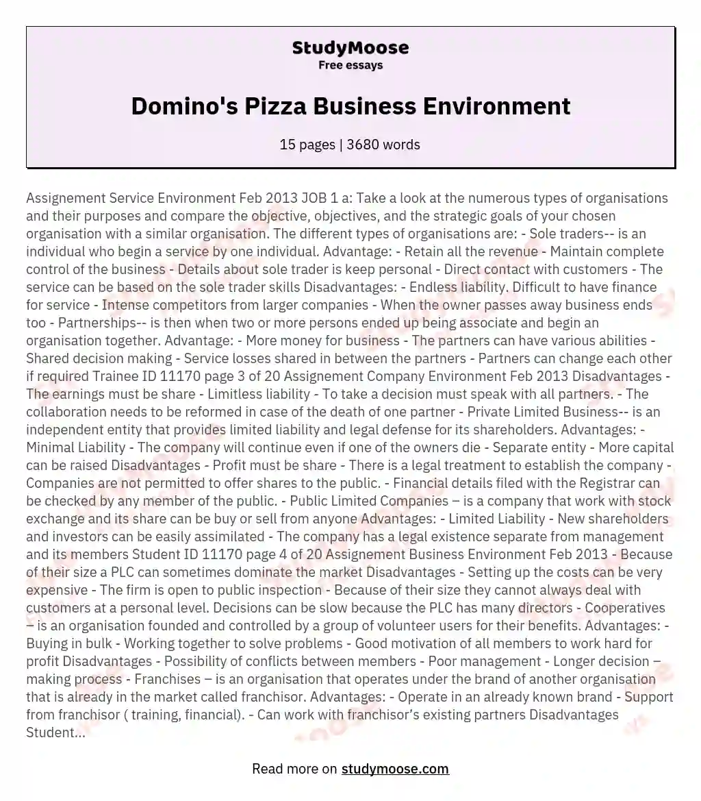 Domino's Pizza Business Environment essay