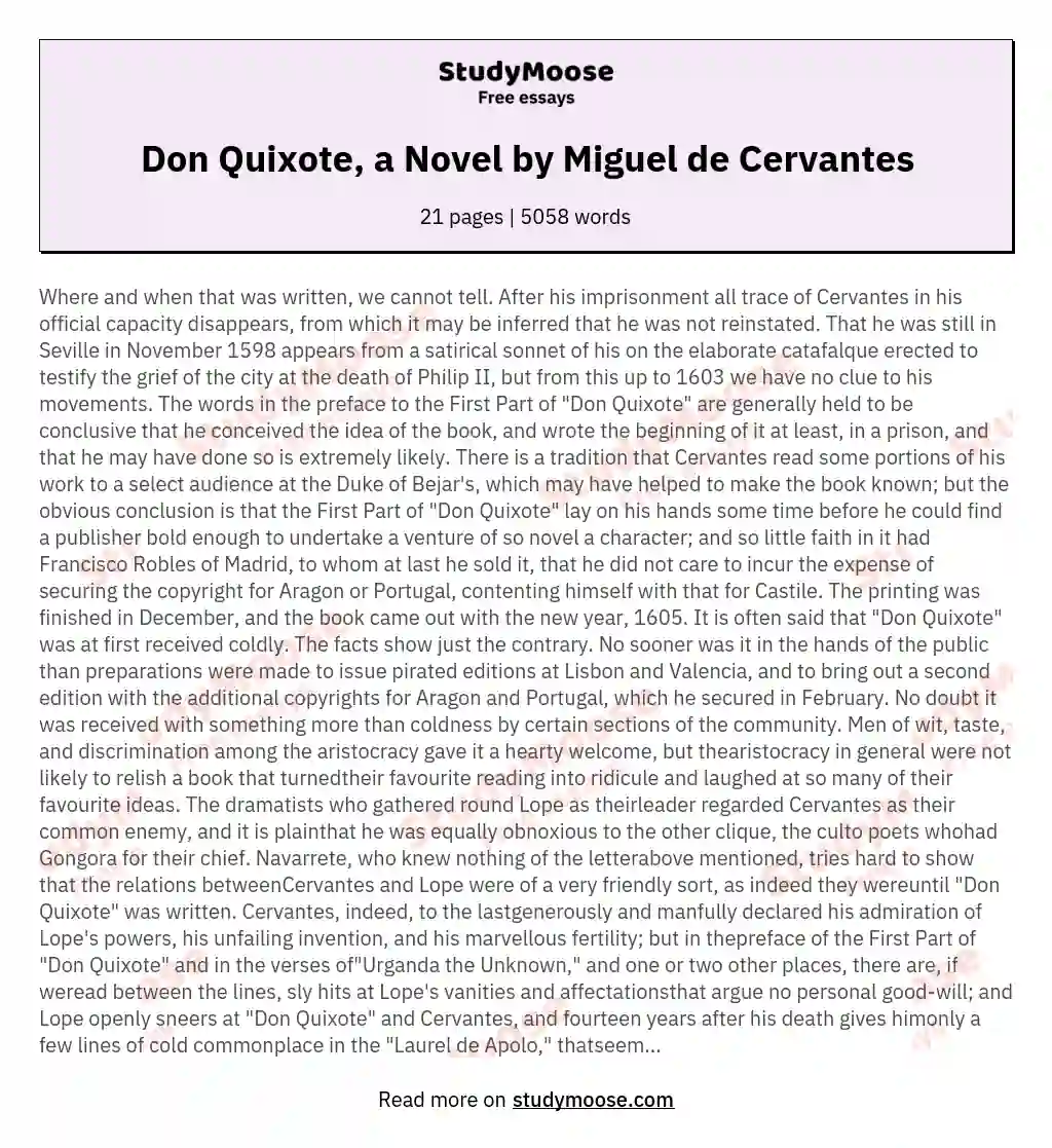 Don Quixote, a Novel by Miguel de Cervantes essay