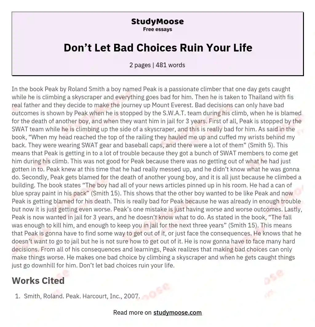  Don’t Let Bad Choices Ruin Your Life  essay