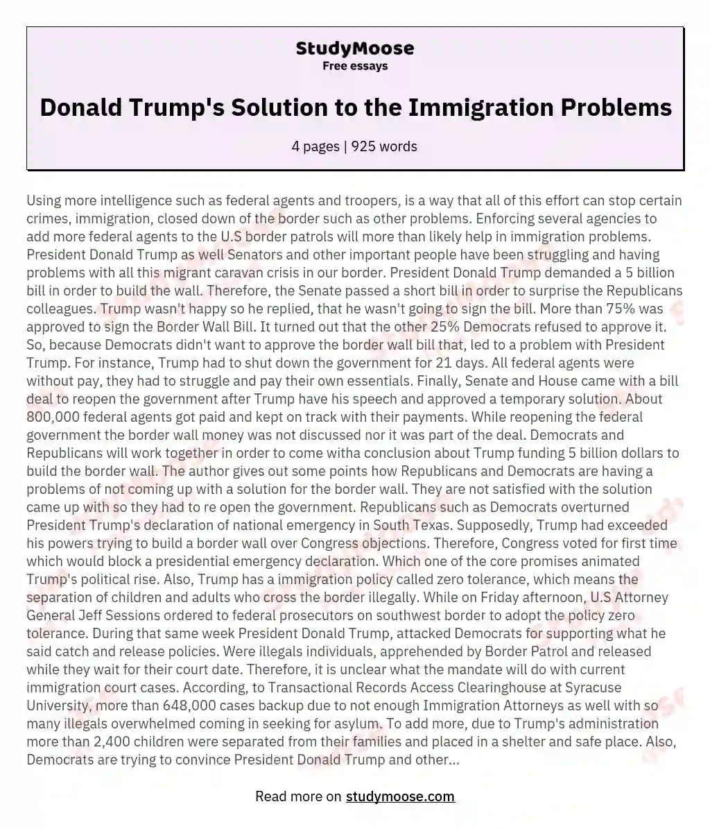 Donald Trump's Solution to the Immigration Problems
