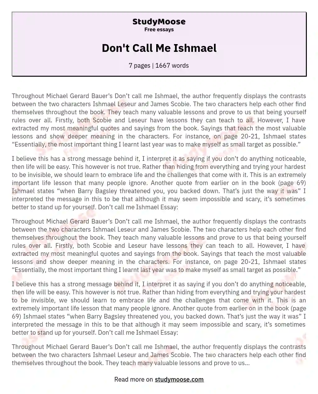 Don't Call Me Ishmael essay