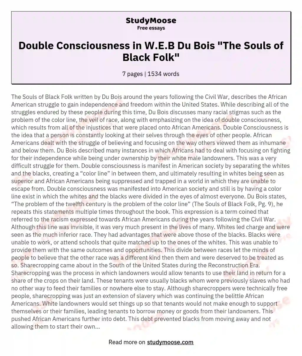 Double Consciousness in W.E.B Du Bois "The Souls of Black Folk"