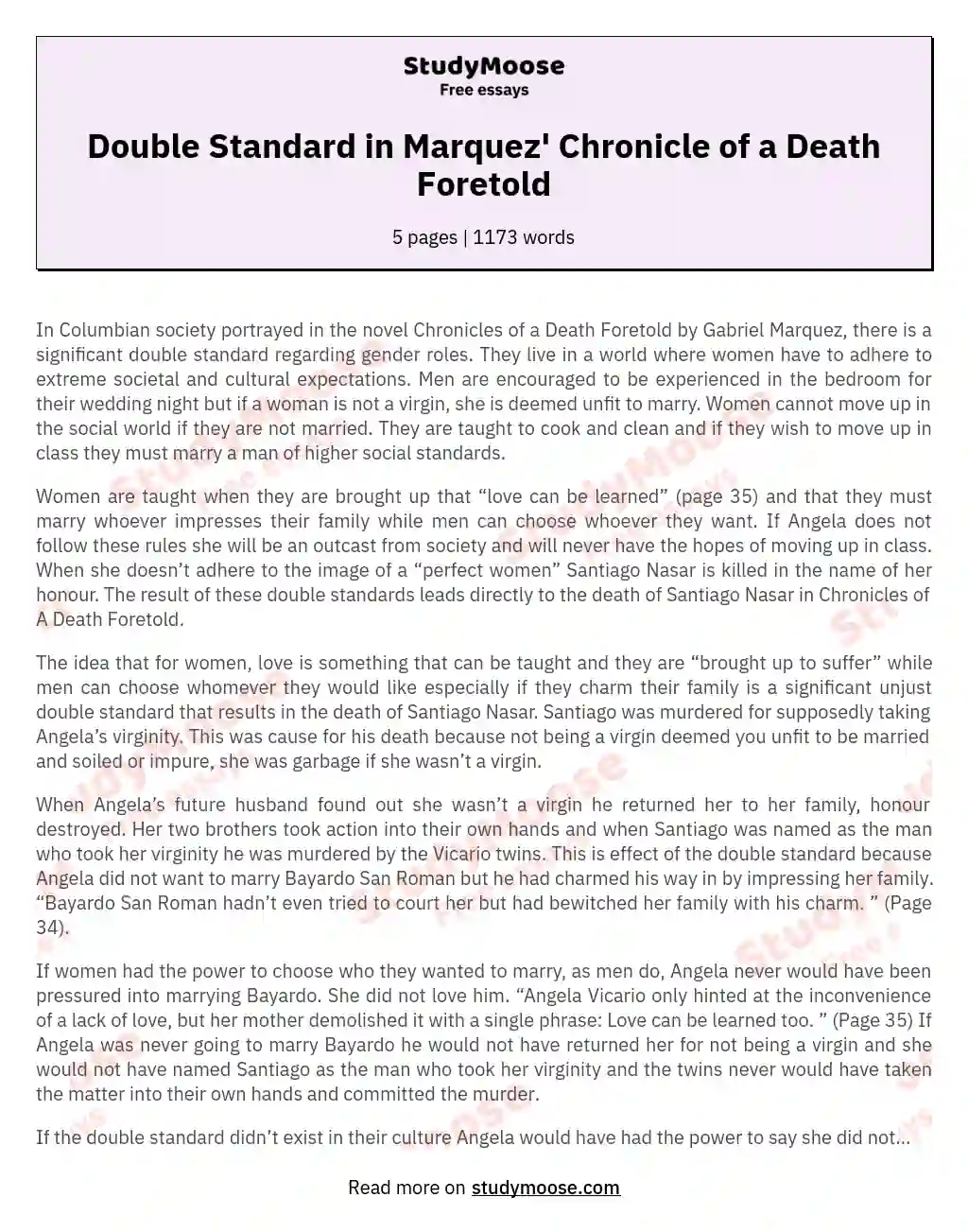 Unjust Double Standards in Chronicles of a Death Foretold essay