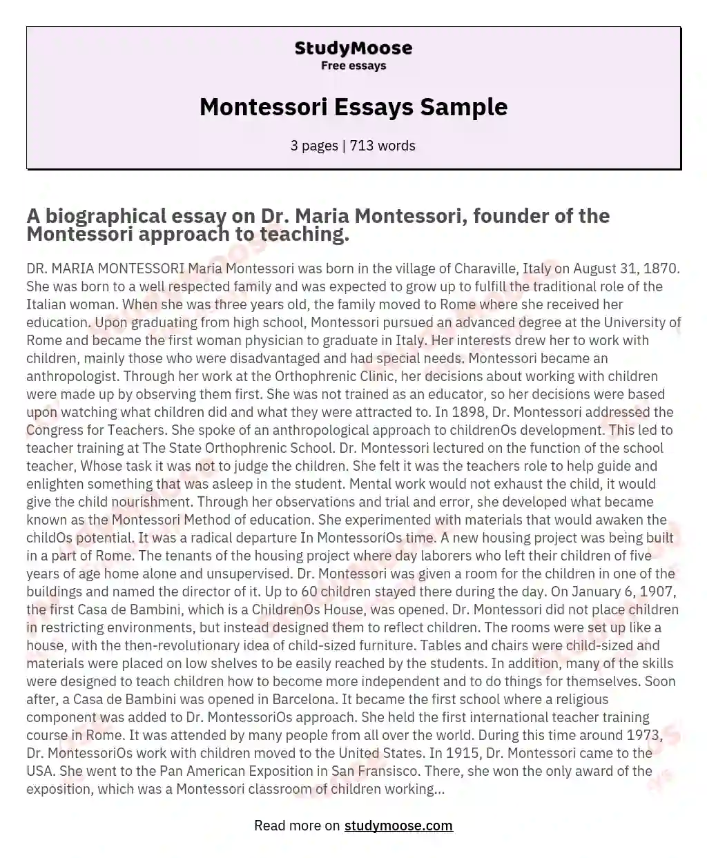Montessori Essays Sample essay
