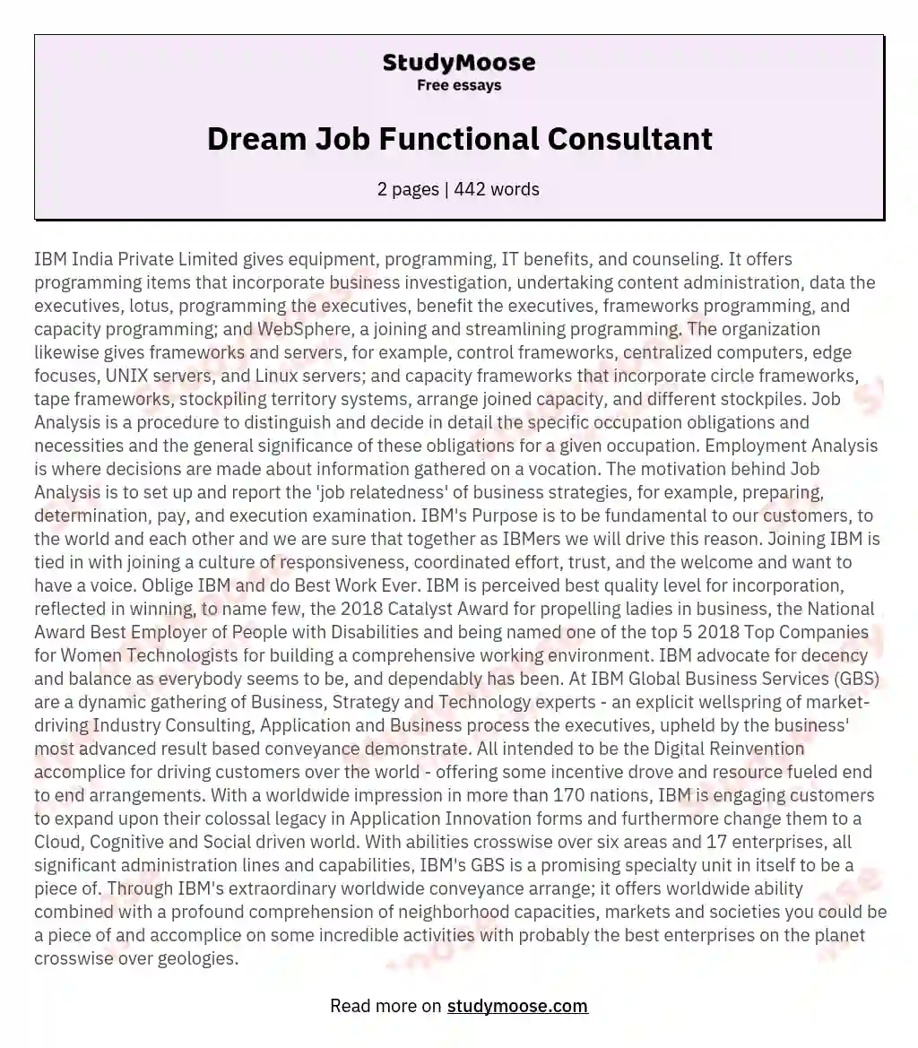 Dream Job Functional Consultant essay