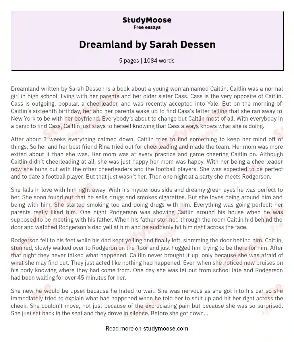 Dreamland by Sarah Dessen essay