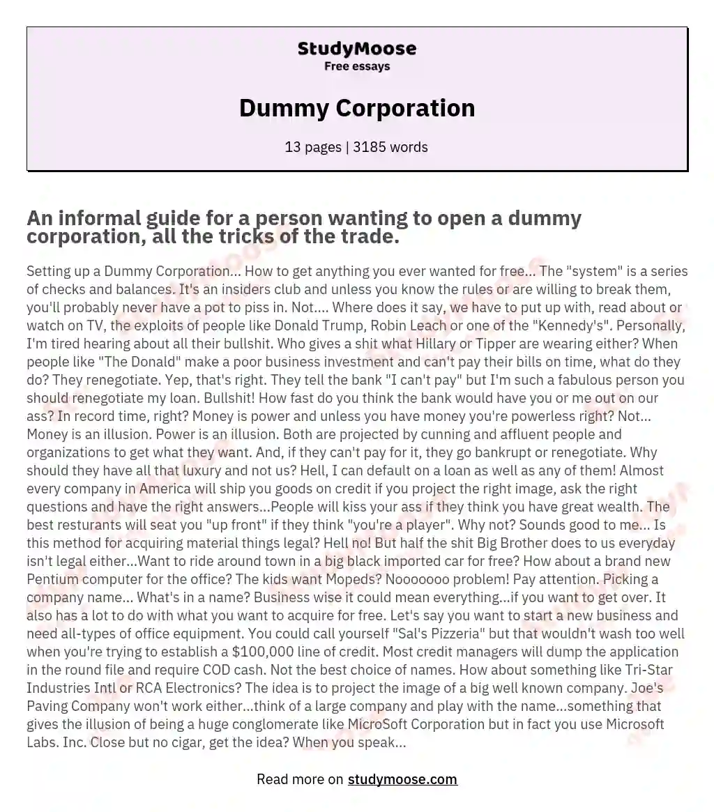 Dummy Corporation essay