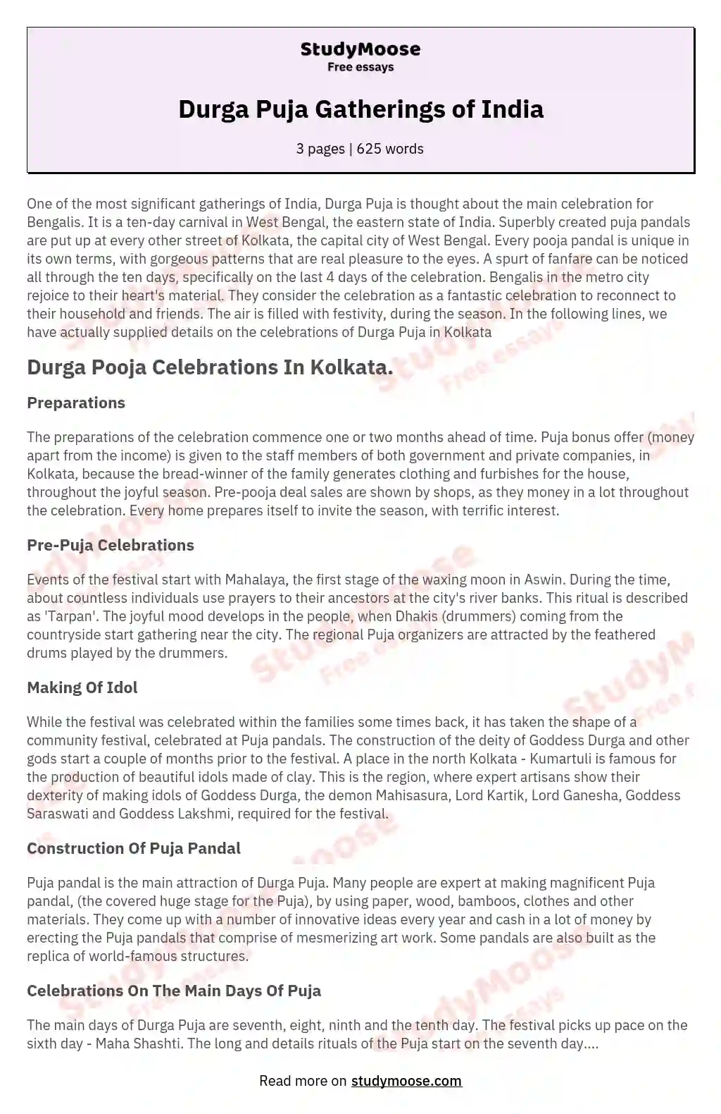 Durga Puja Gatherings of India essay