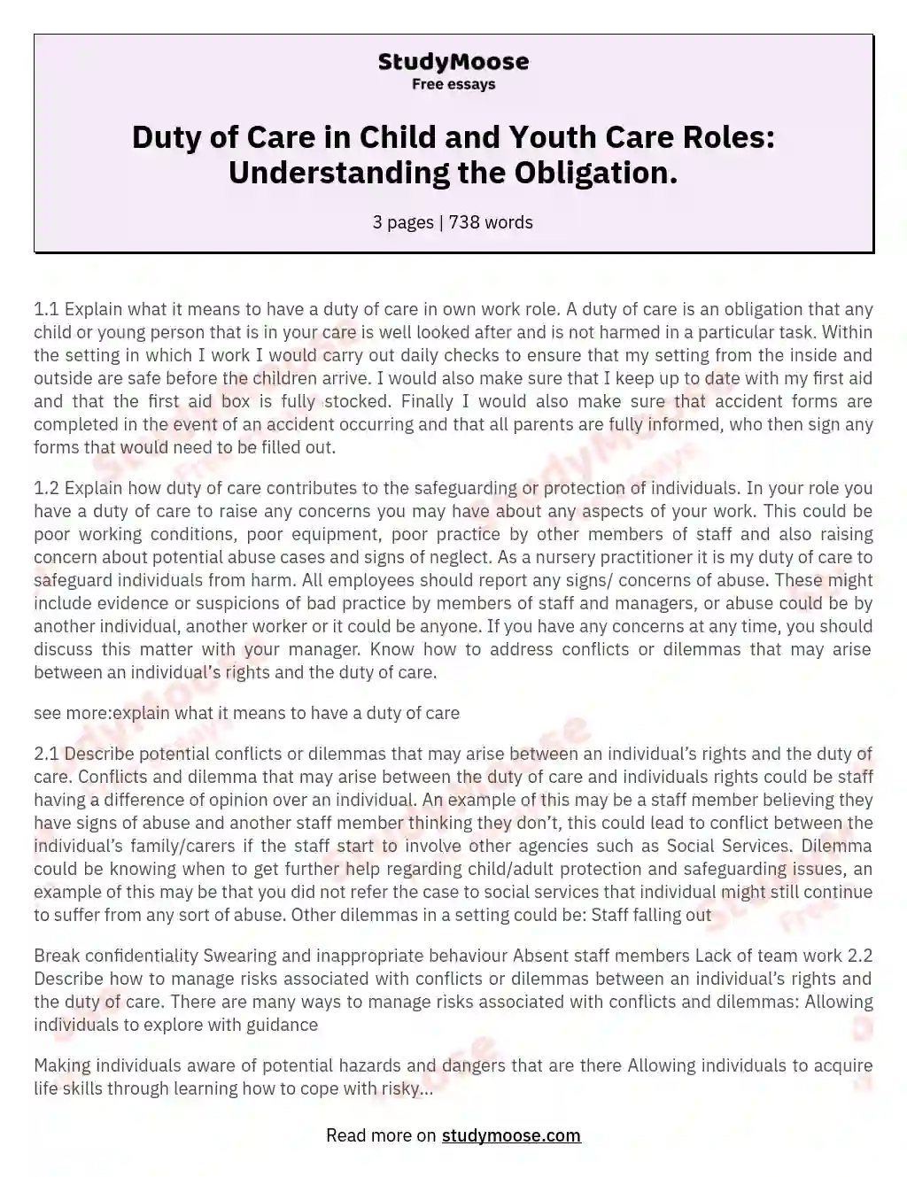 Duty of Care in Child and Youth Care Roles: Understanding the Obligation. essay