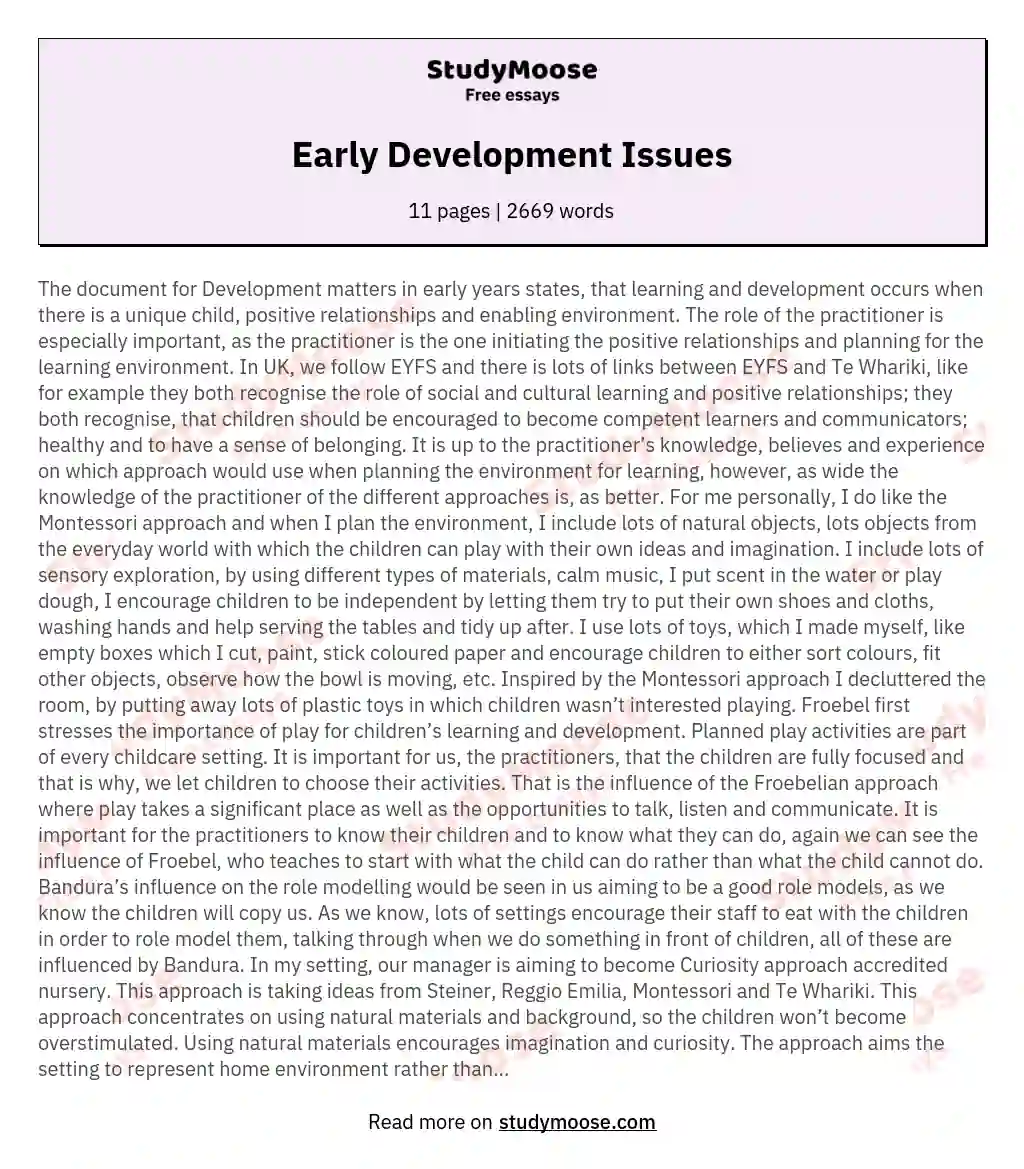 Early Development Issues essay