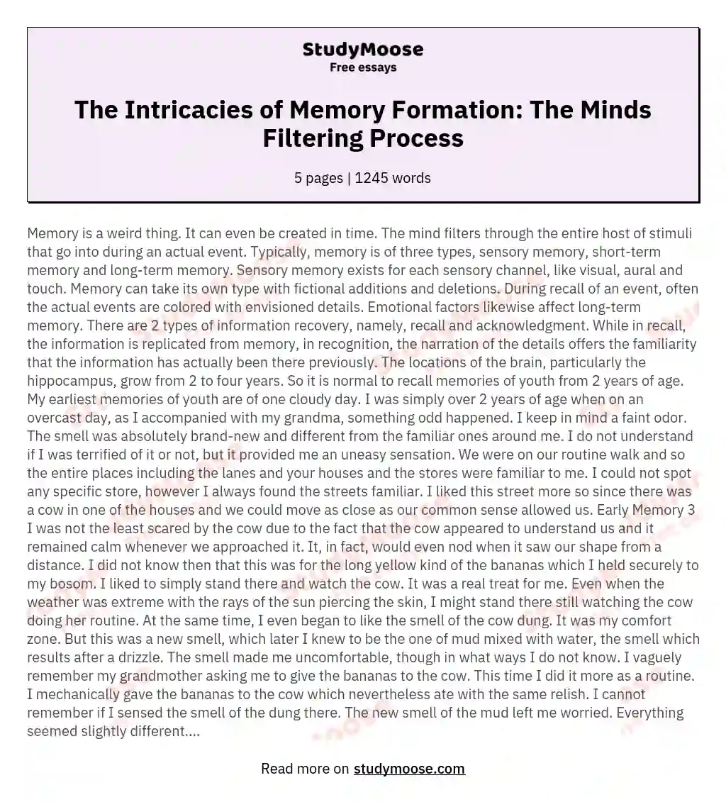 The Intricacies of Memory Formation: The Minds Filtering Process essay