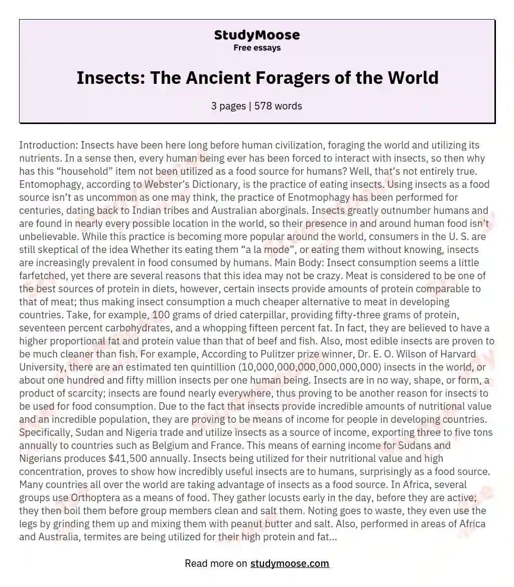 Insects: The Ancient Foragers of the World essay