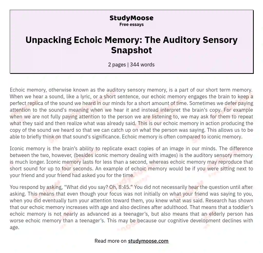 Unpacking Echoic Memory: The Auditory Sensory Snapshot essay