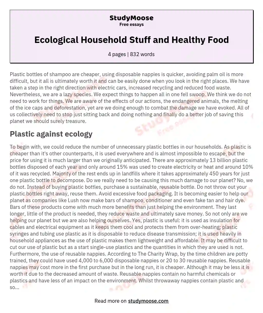Ecological Household Stuff and Healthy Food essay