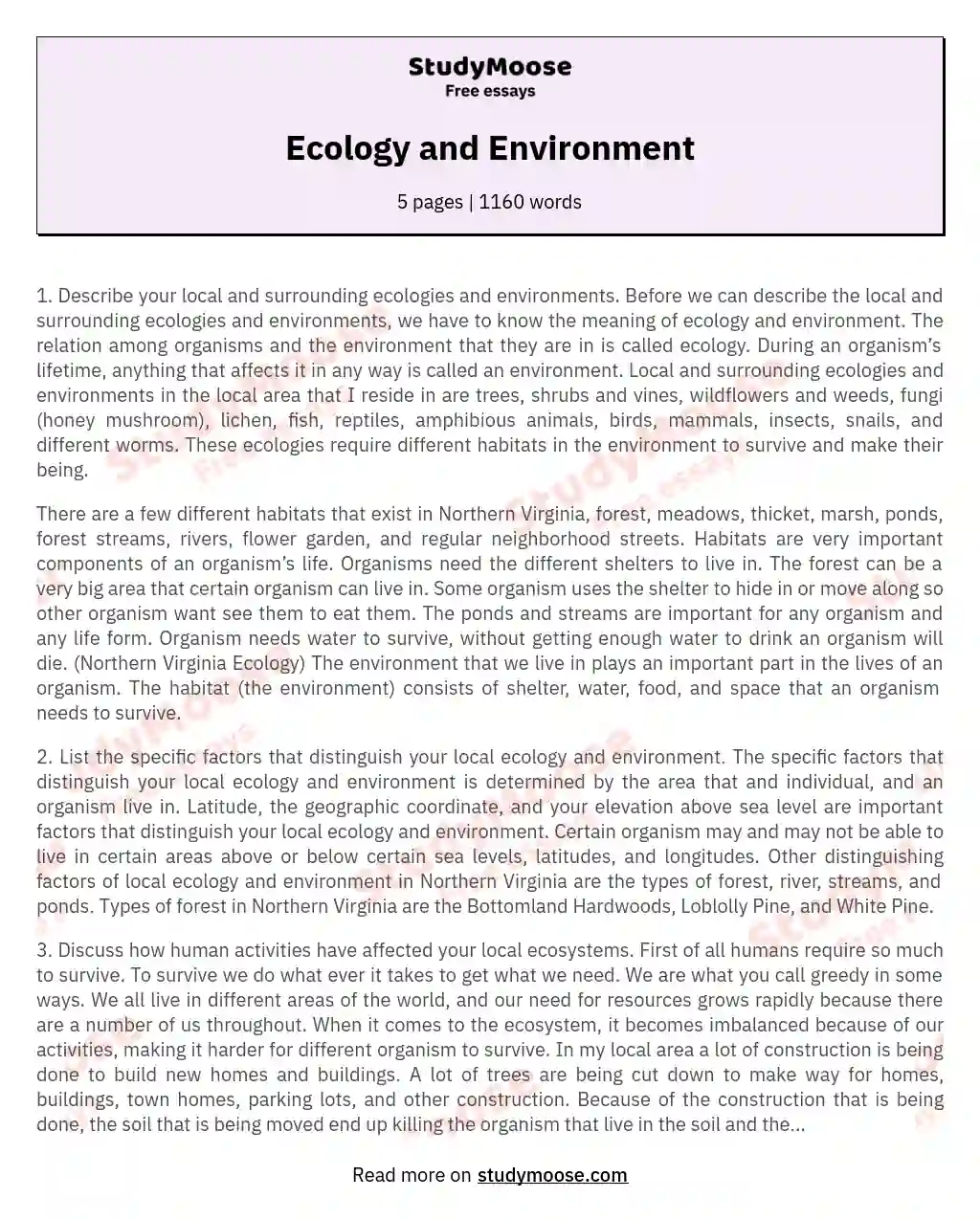 how humans affect the environment essay