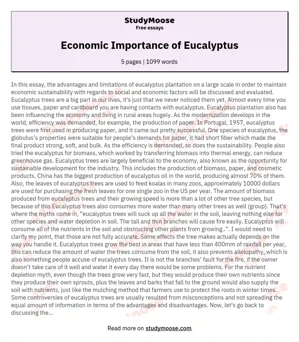 Economic Importance of Eucalyptus essay