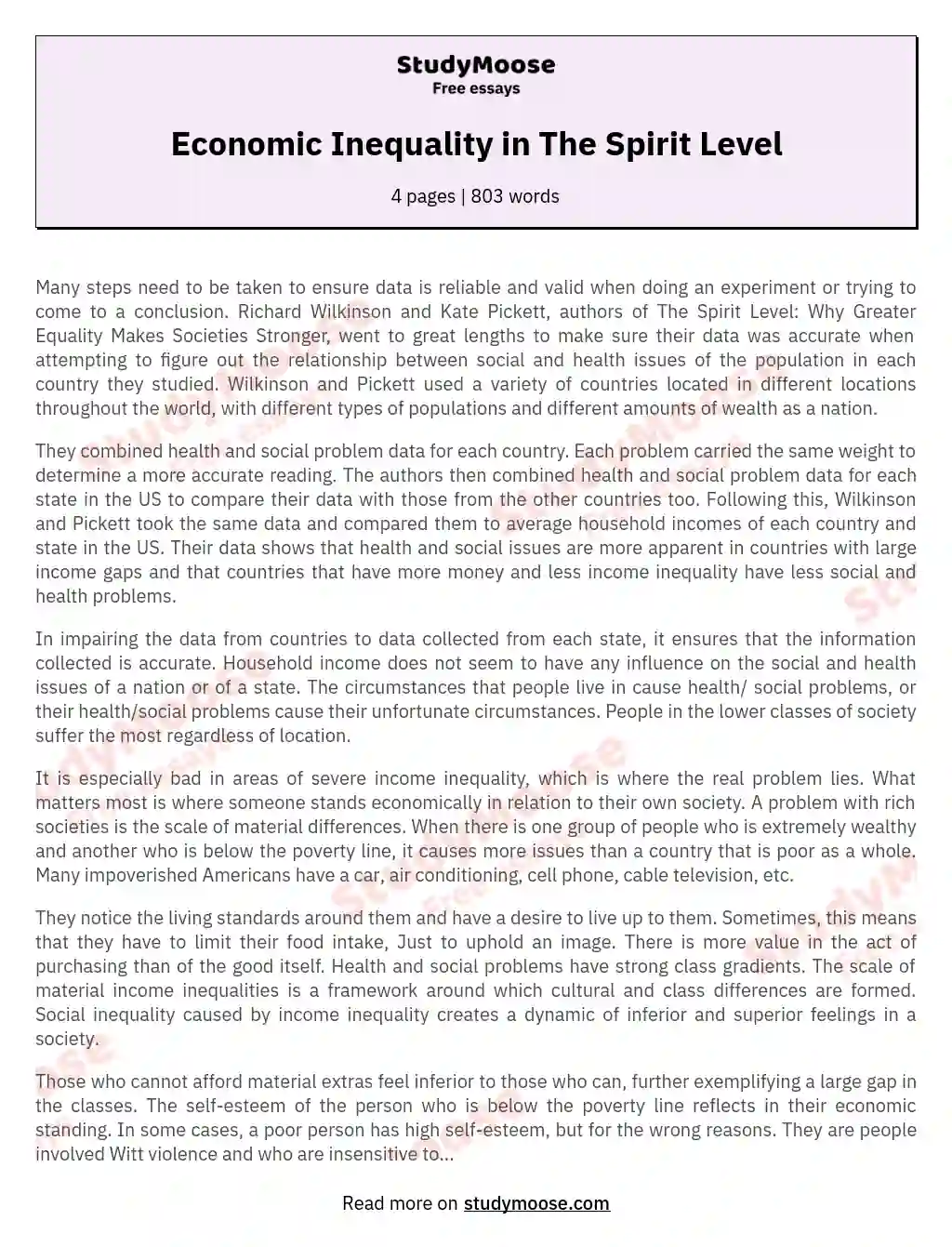 Economic Inequality in The Spirit Level essay
