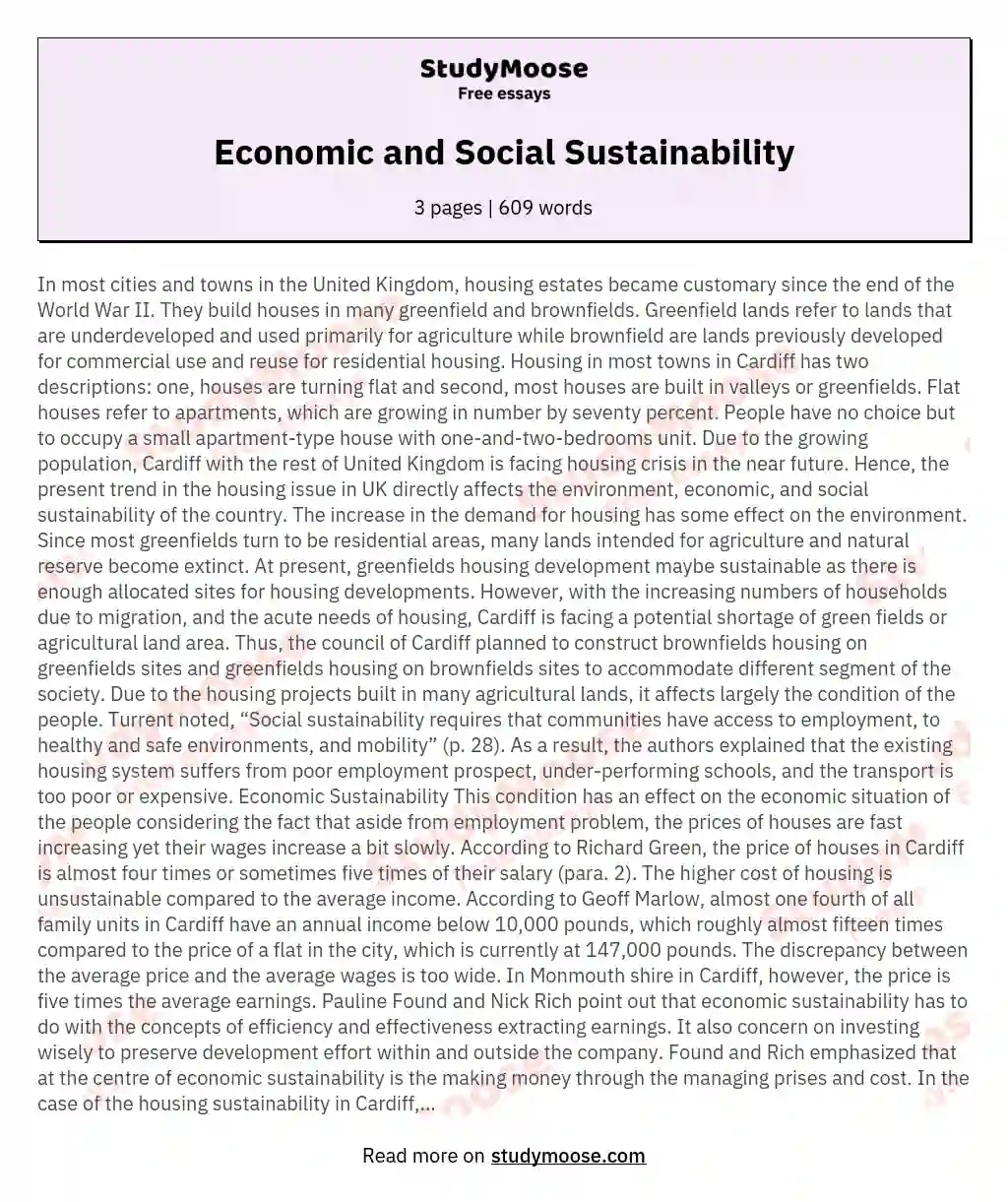 Economic and Social Sustainability essay