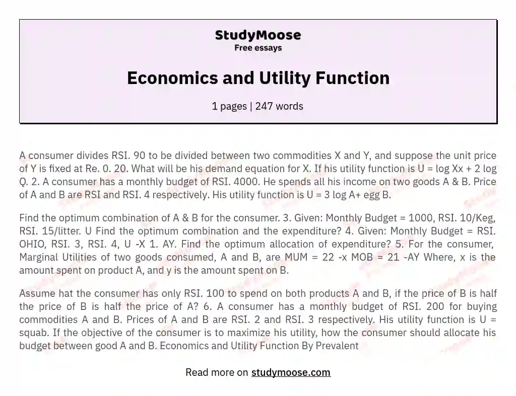 Economics and Utility Function essay