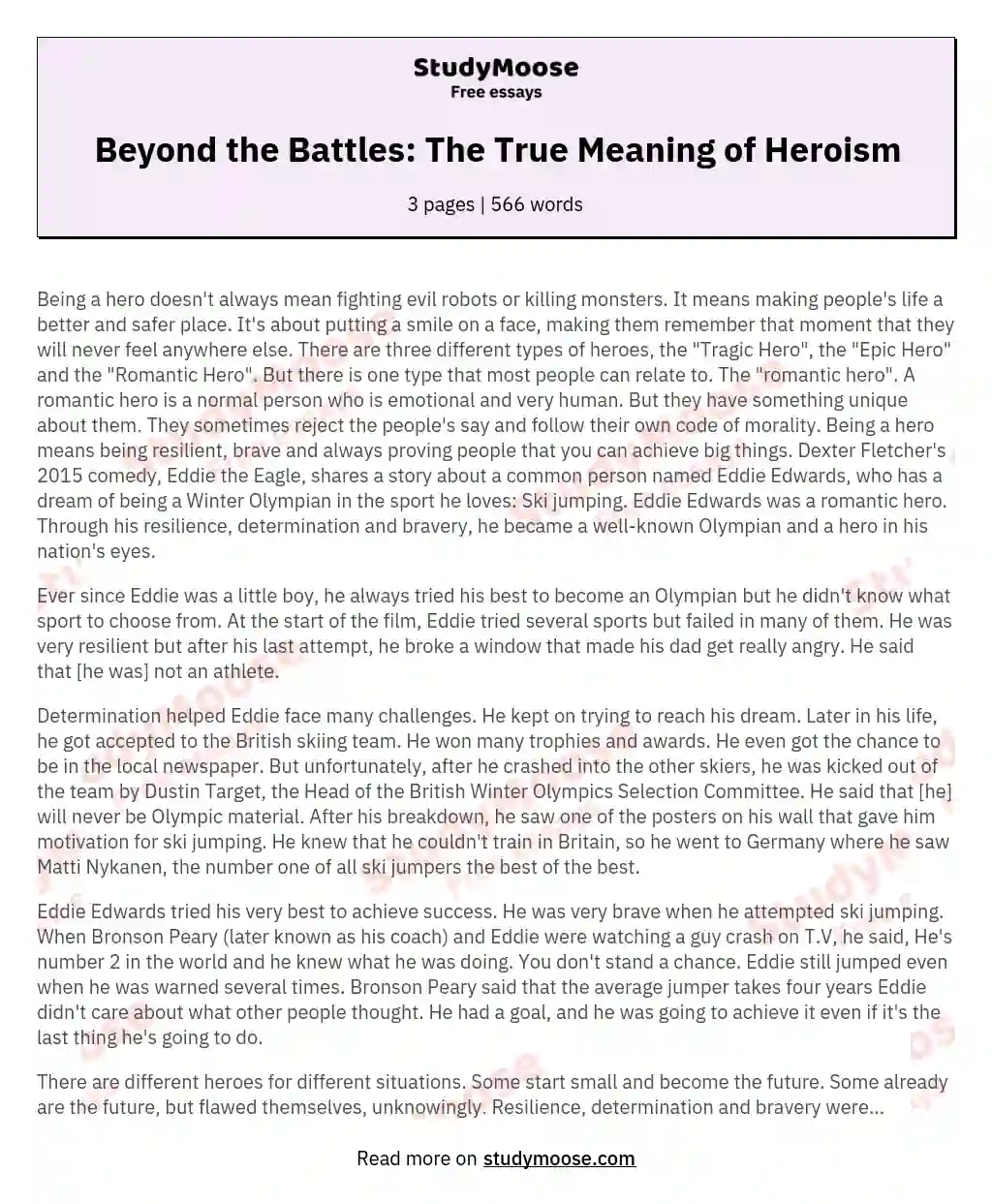 Beyond the Battles: The True Meaning of Heroism essay
