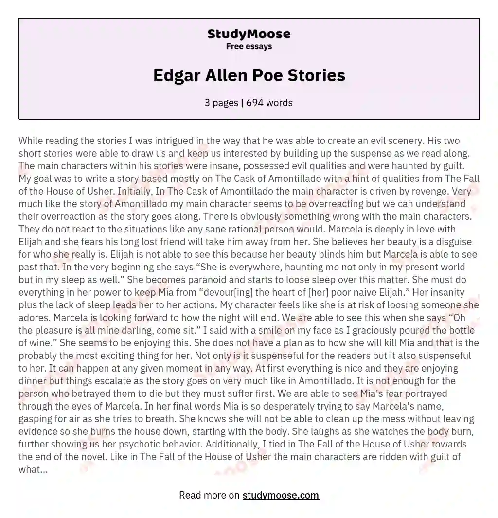 Edgar Allen Poe Stories essay
