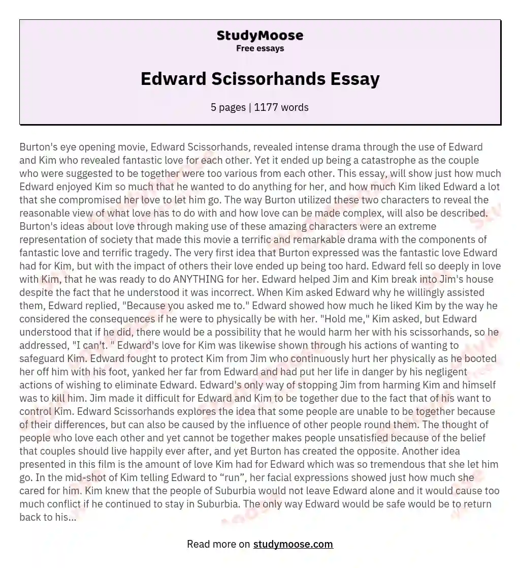 Edward Scissorhands Essay essay