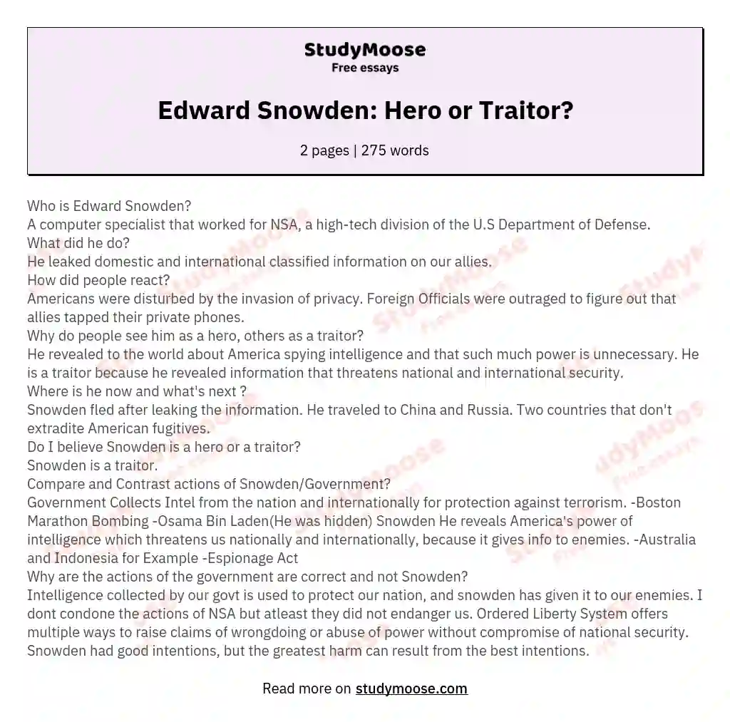 Edward Snowden Hero Or Traitor Free Essay Example