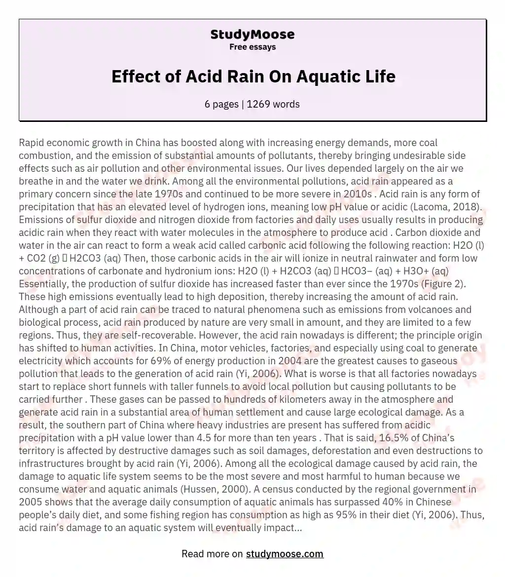 what is acid rain essay