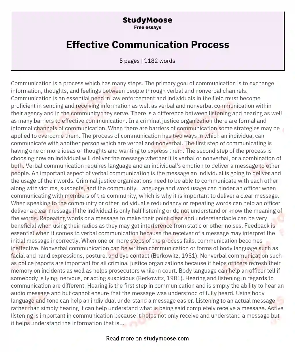 communication process essay example