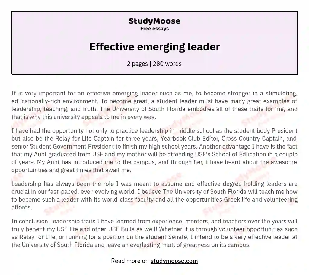 Effective emerging leader essay