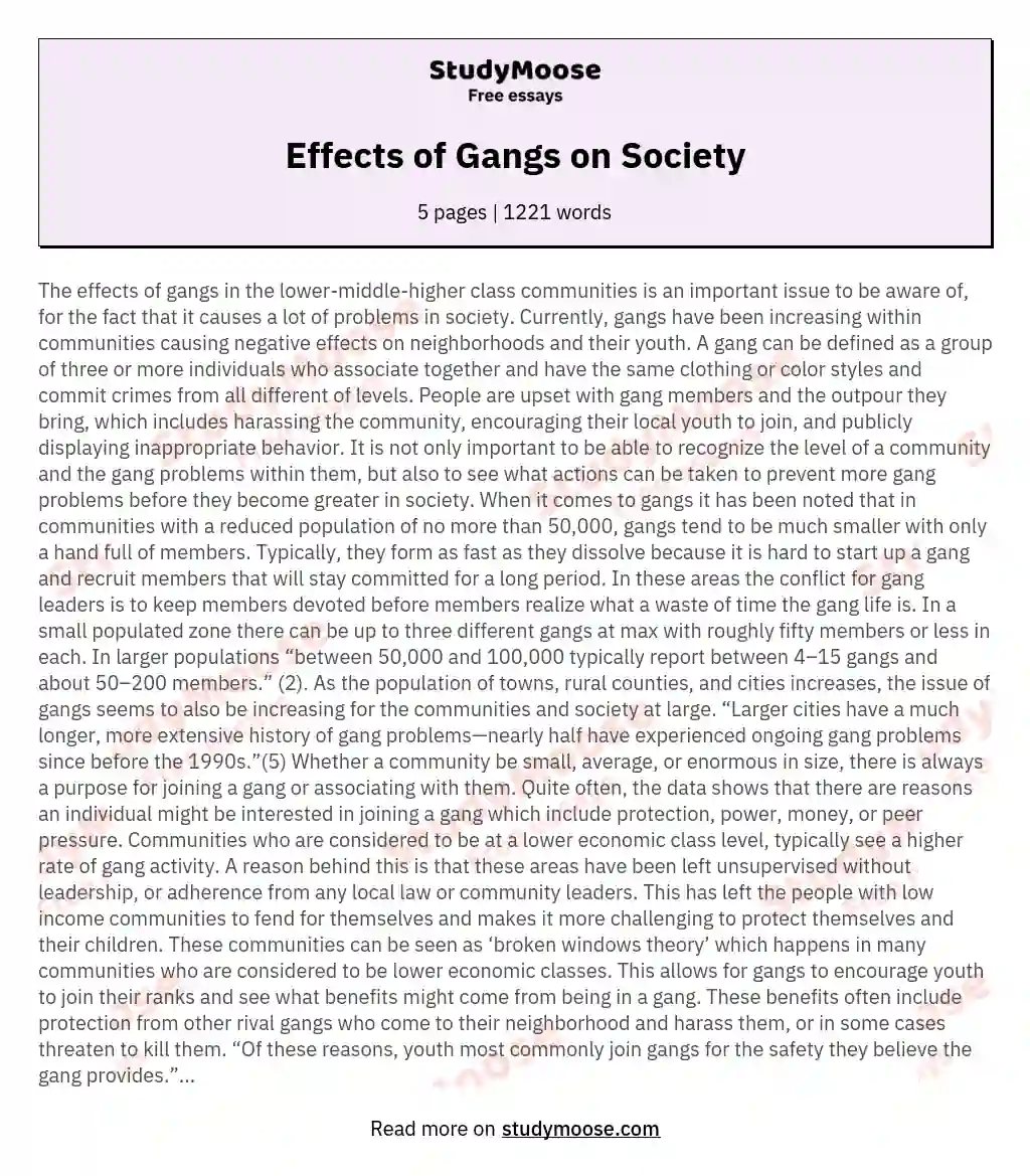 Effects of Gangs on Society essay