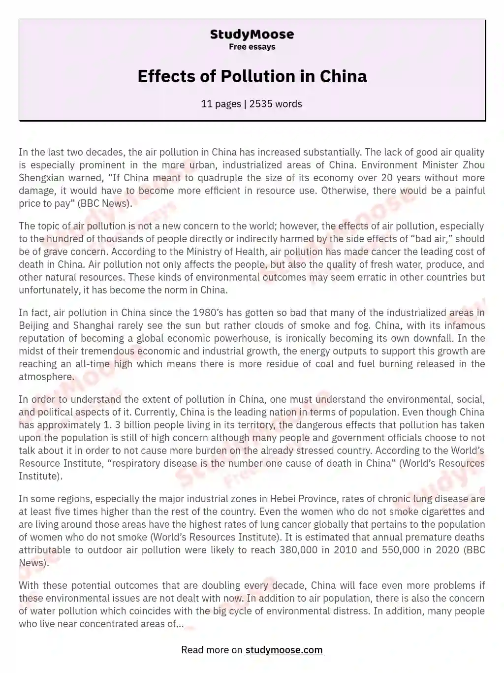 Effects of Pollution in China essay