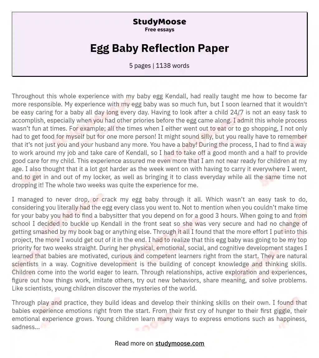 Parenting Lessons: A Reflection on the Egg Baby Project essay