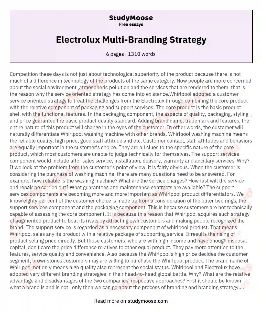 Electrolux Multi-Branding Strategy essay
