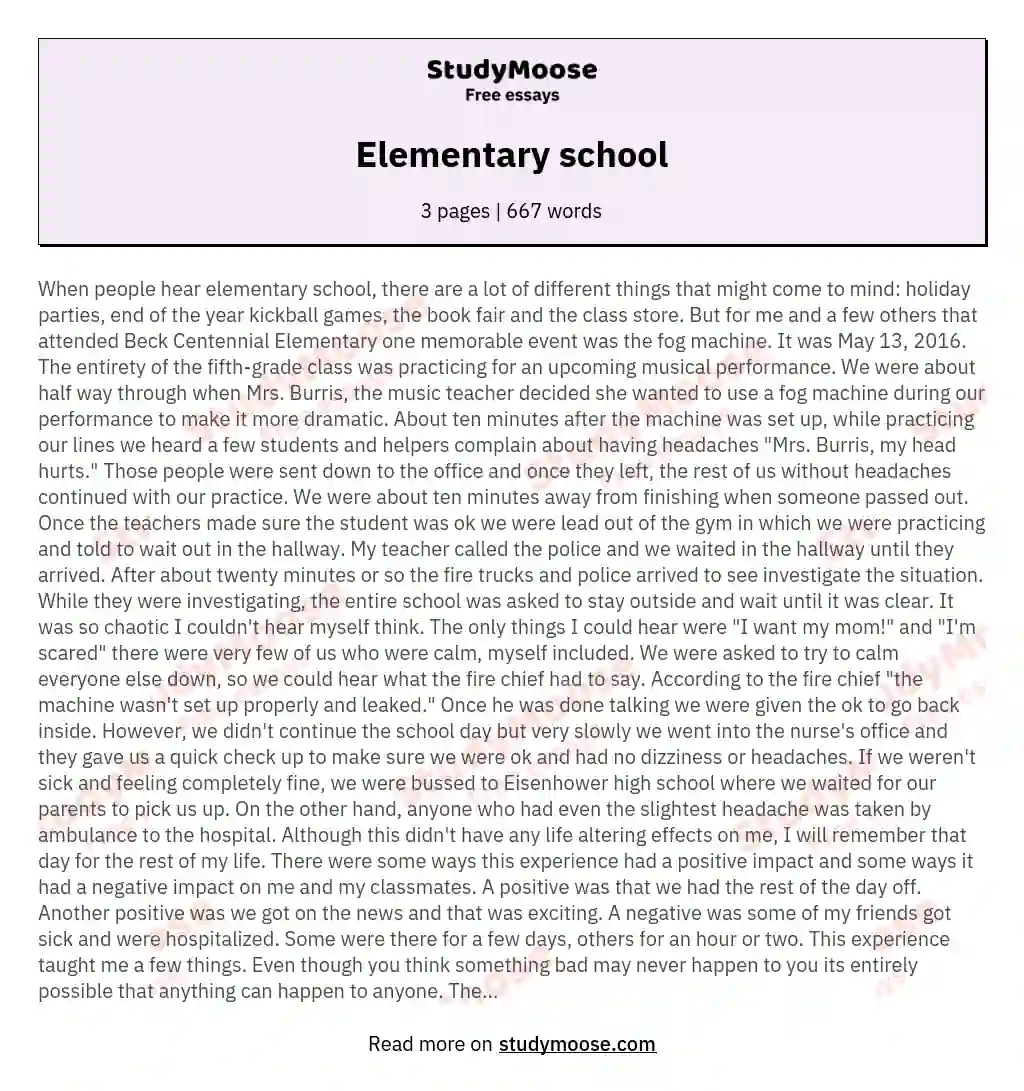 Elementary school essay
