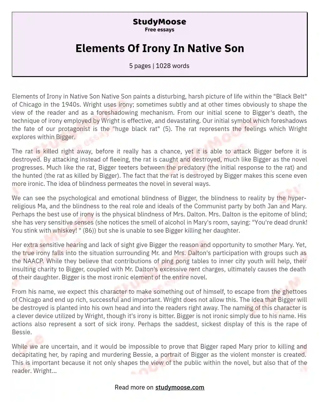 Elements Of Irony In Native Son essay