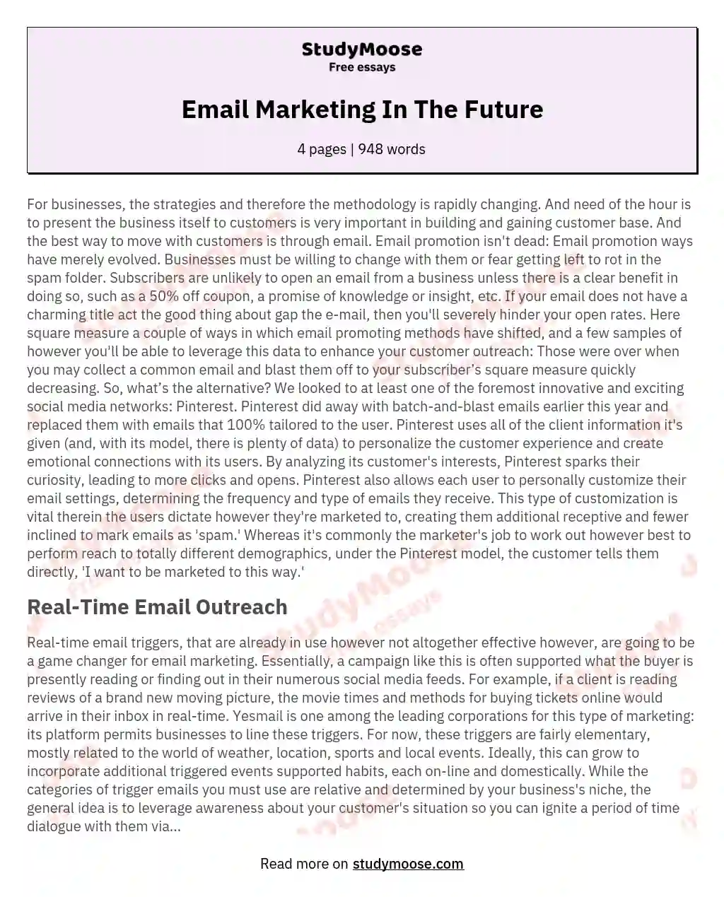 Email Marketing In The Future essay