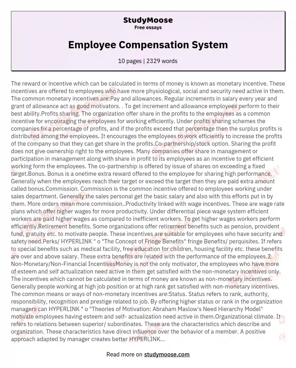 Employee Compensation System essay