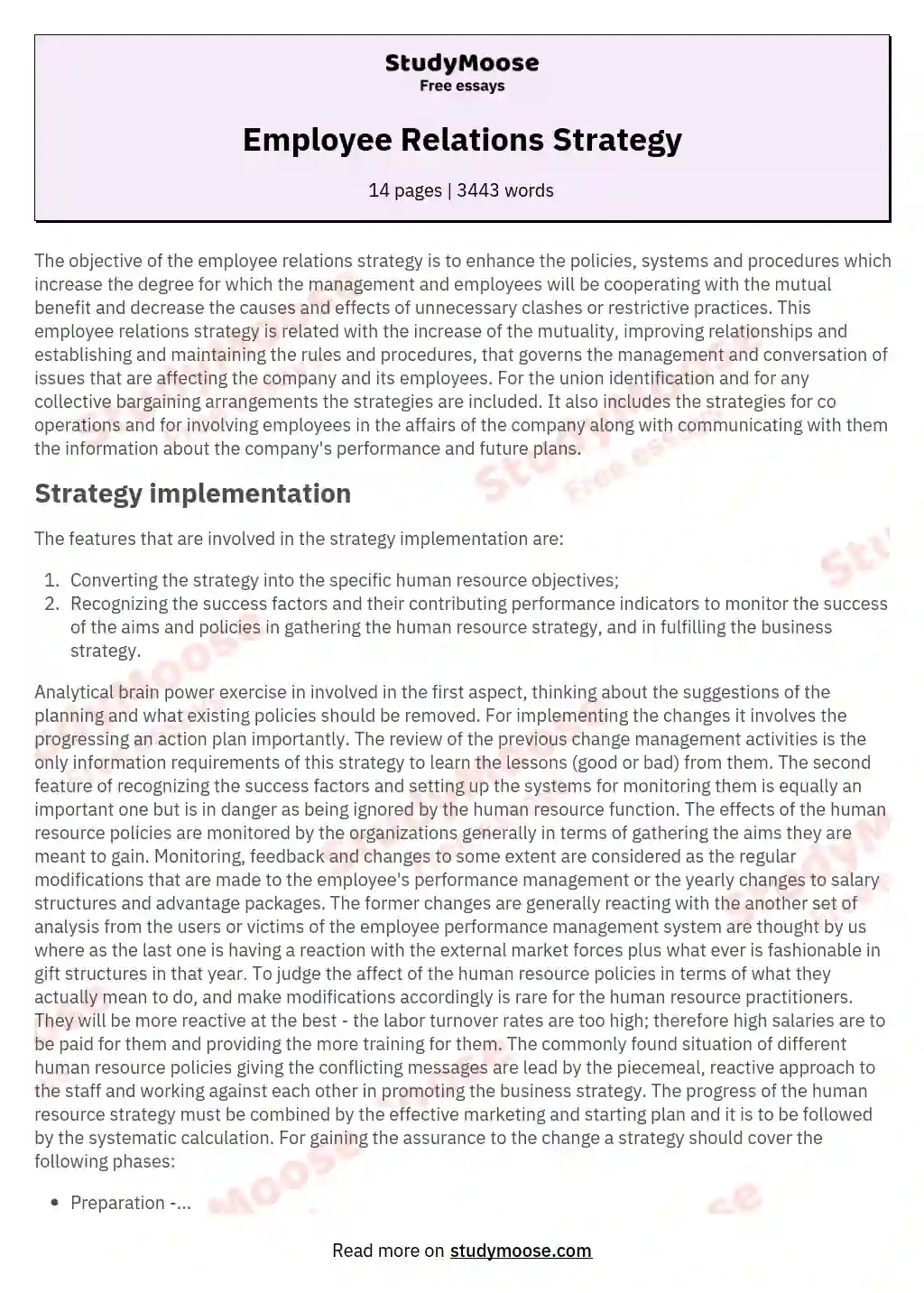 Employee Relations Strategy essay