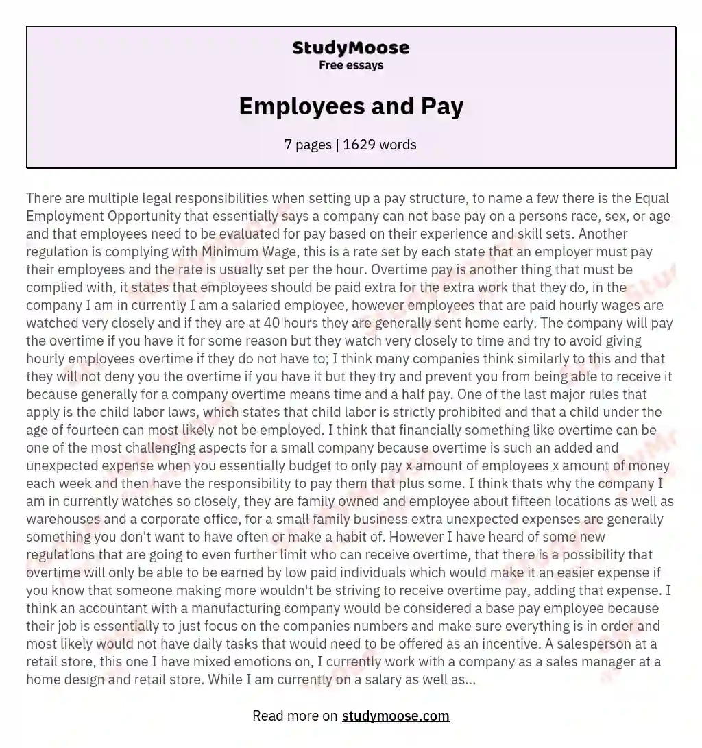 Employees and Pay essay