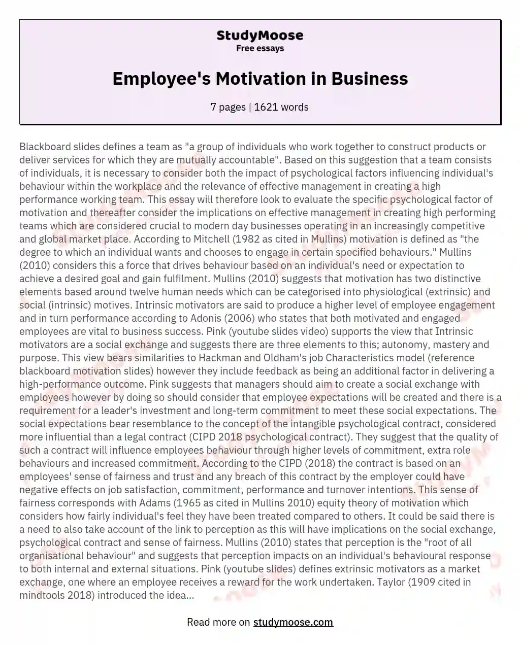 Employee's Motivation in Business essay